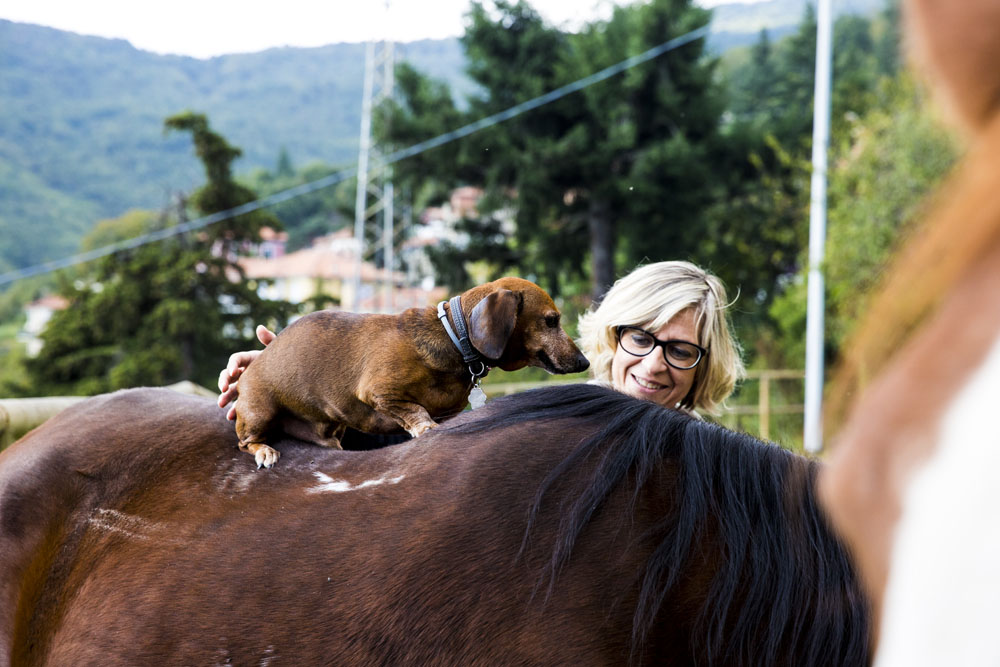 Amazzone con il suo cane in sella a un cavallo al Circolo Ippico Le Vigne