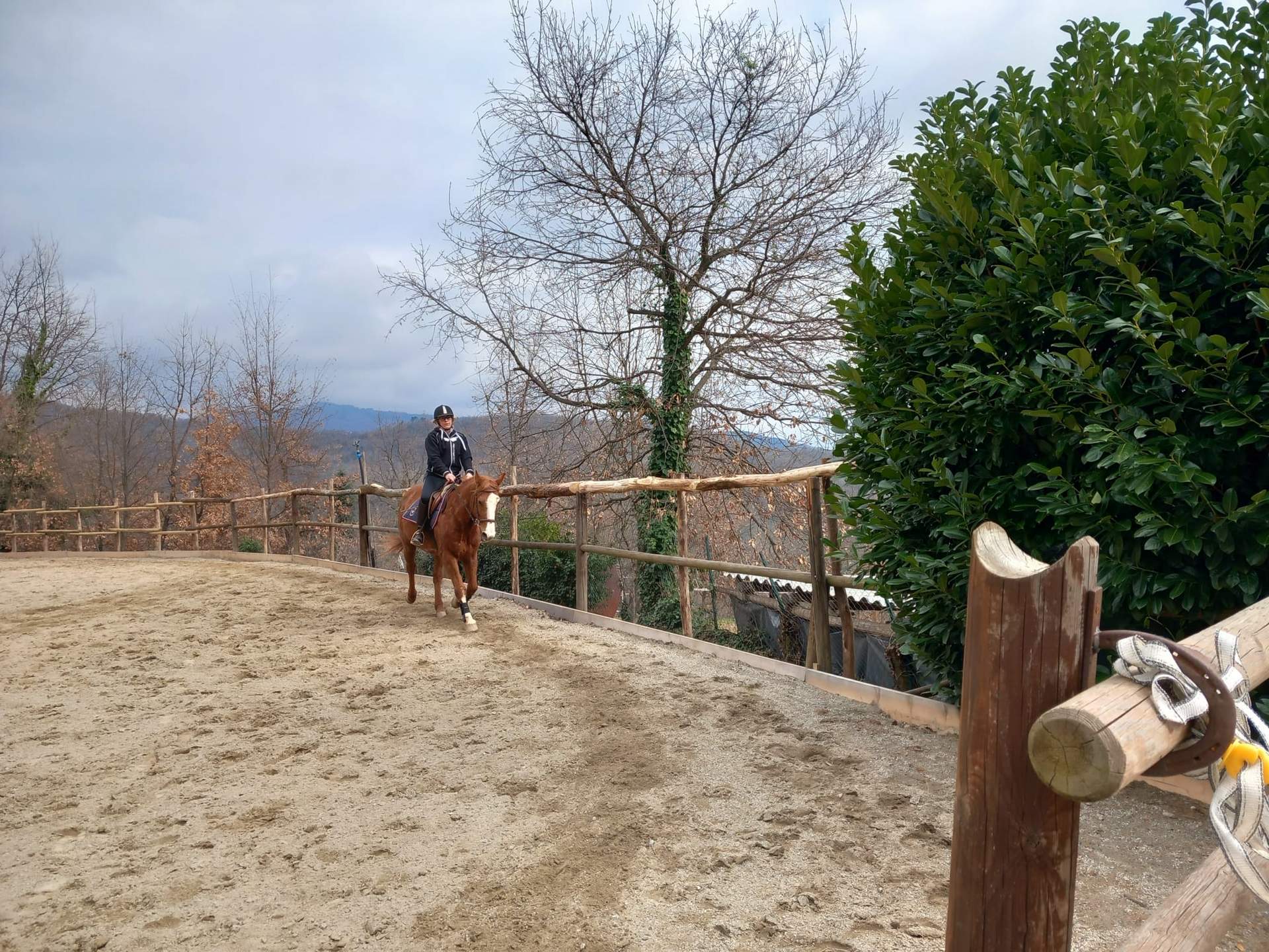 Lezione di equitazione nel maneggio del Circolo Ippico Le Vigne a Gazzo d’Arroscia