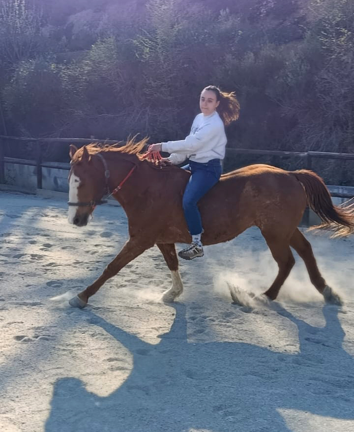 Lavoro in piano a cavallo nel maneggio del Circolo Ippico Le Vigne